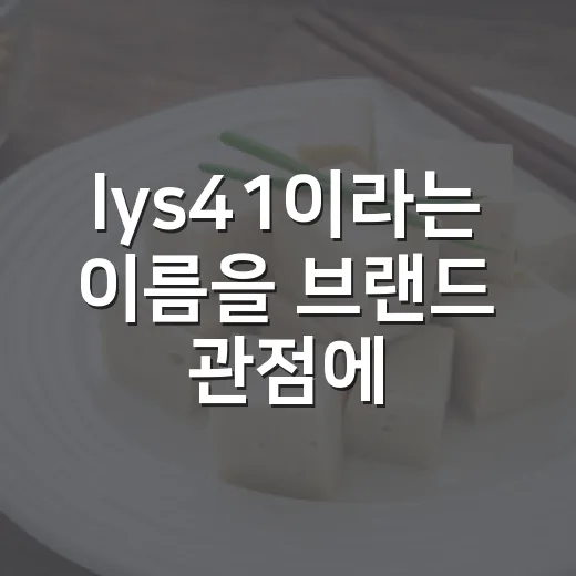 lys41이라는 이름을 브랜드 관점에서 뜯어봤더니 보인 것들 - 요약