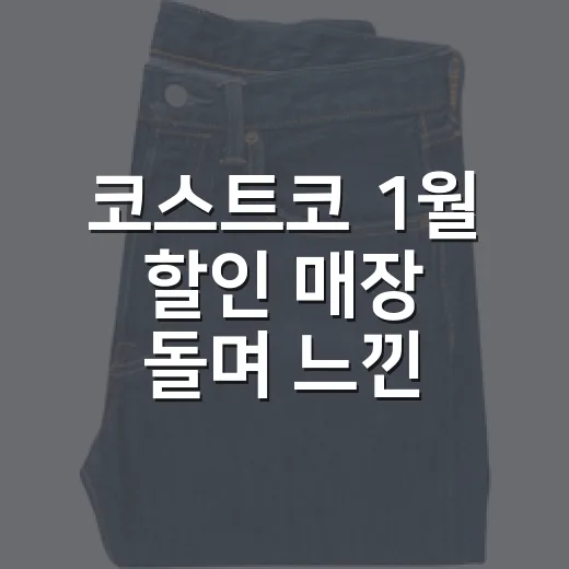 코스트코 1월 할인 매장 돌며 느낀 진짜 이야기 - 요약
