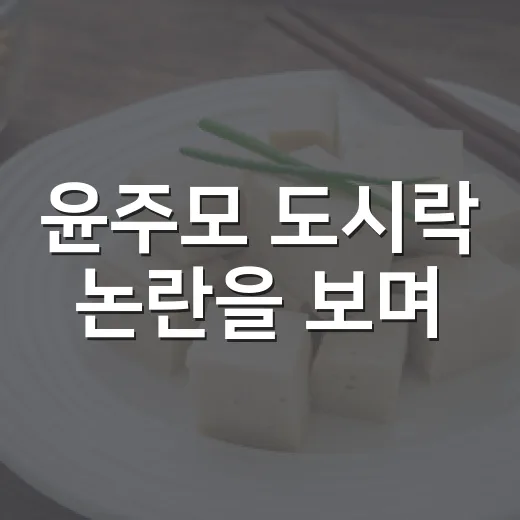 윤주모 도시락 논란을 보며, 이름값이 상품을 이기지 못한 이야기 - 요약