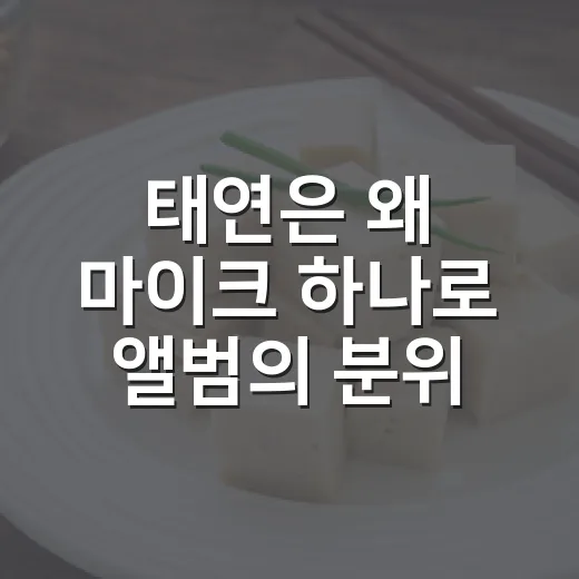 태연은 왜 마이크 하나로 앨범의 분위기를 바꿔왔을까 - 요약