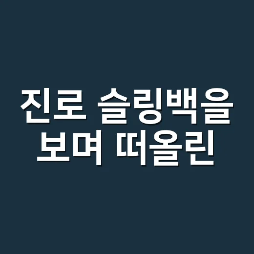 진로 슬링백을 보며 떠올린, 두꺼비 굿즈가 브랜드가 된 진짜 이야기 - 요약