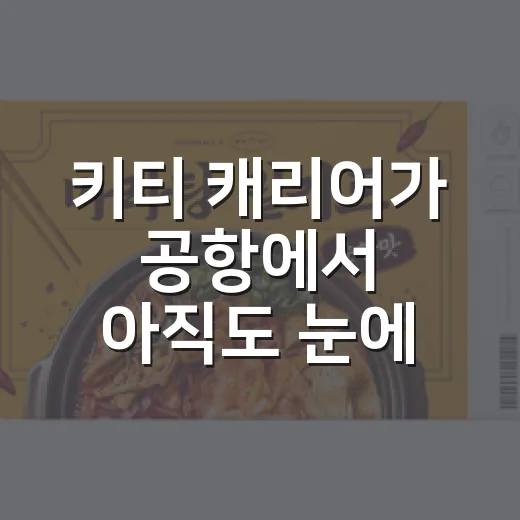 키티 캐리어가 공항에서 아직도 눈에 띄는 진짜 이유 - 요약