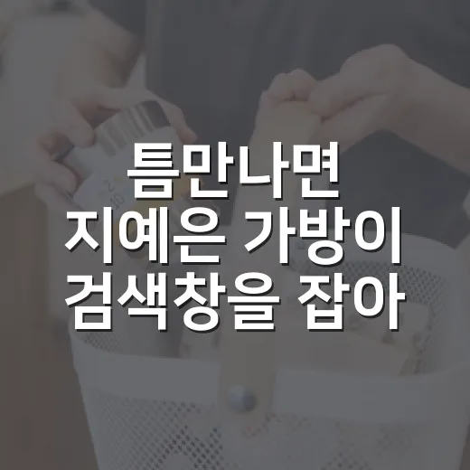 틈만나면 지예은 가방이 검색창을 잡아당긴 진짜 이야기 - 요약