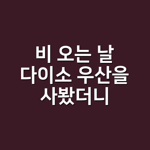 비 오는 날 다이소 우산을 사봤더니, 5천원짜리 꿀템이 브랜드를 이기는 순간 - 요약