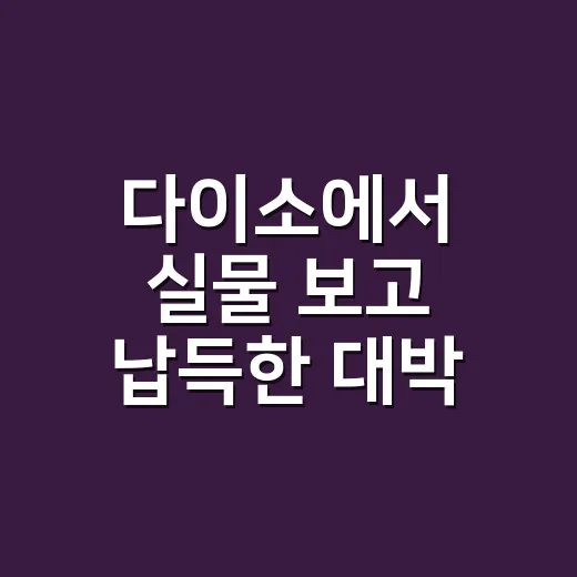 다이소에서 실물 보고 납득한 대박 아이템 3가지, 싸서 뜬 게 아니었다 - 요약