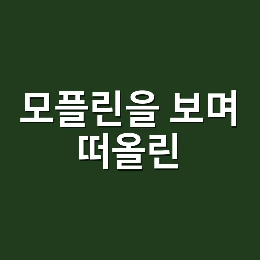 모플린을 보며 떠올린, 귀여움만으로는 팔 수 없는 브랜드의 진짜 이야기 - 요약