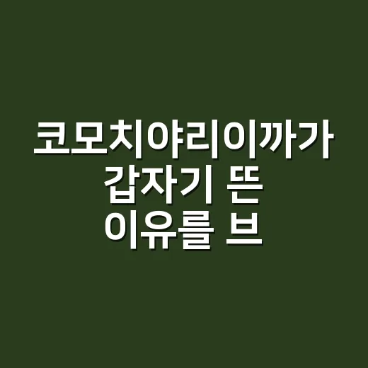 코모치야리이까가 갑자기 뜬 이유를 브랜드 기획자 눈으로 봤더니 - 요약