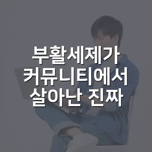 부활세제가 커뮤니티에서 살아난 진짜 이야기 - 요약