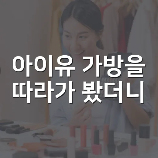 아이유 가방을 따라가 봤더니, 팔린 건 제품보다 ‘믿음’이었다 - 요약