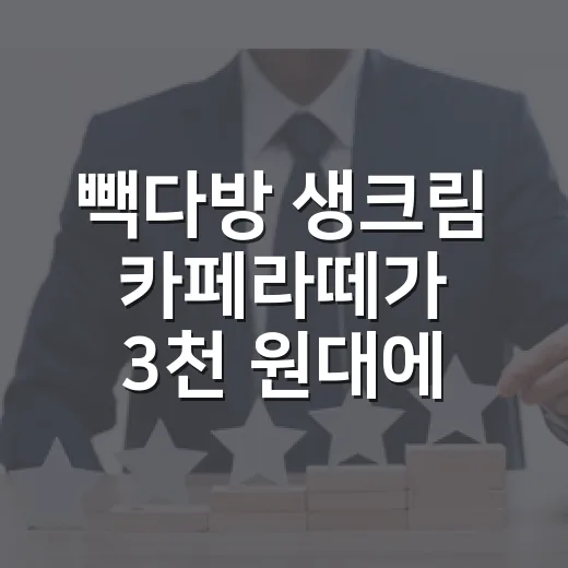 빽다방 생크림 카페라떼가 3천 원대에서 꺼낸 진짜 이야기 - 요약