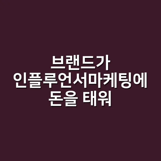 브랜드가 인플루언서마케팅에 돈을 태워봤더니 생긴 일 - 요약