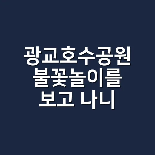 광교호수공원 불꽃놀이를 보고 나니, 수원이라는 브랜드가 다르게 보였다 - 요약