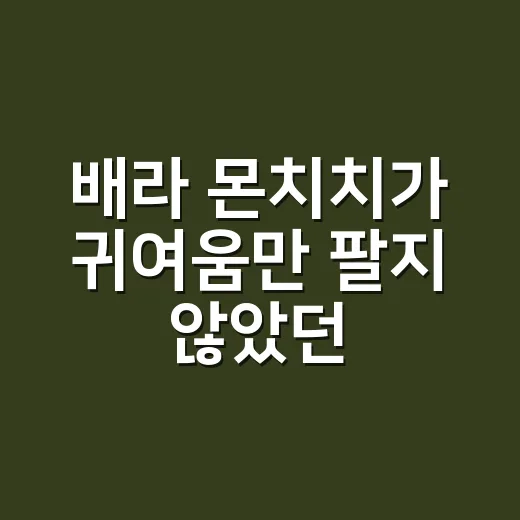 배라 몬치치가 귀여움만 팔지 않았던 진짜 이야기 - 요약