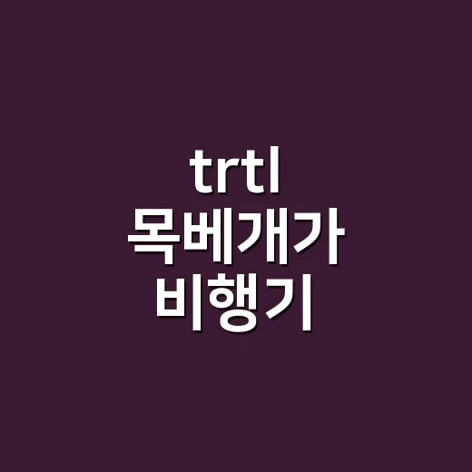 trtl 목베개가 비행기 좌석에서 약속한 것, 직접 써본 사람들의 반응을 브랜드 관점으로 읽어봤습니다 - 요약