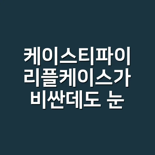 케이스티파이 리플케이스가 비싼데도 눈에 밟히는 진짜 이야기 - 요약