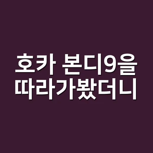 호카 본디9을 따라가봤더니, 호카가 팔고 있던 건 신발이 아니었다 - 요약