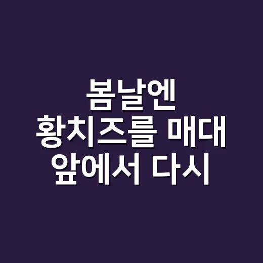 봄날엔 황치즈를 매대 앞에서 다시 보게 된 진짜 이유 - 요약