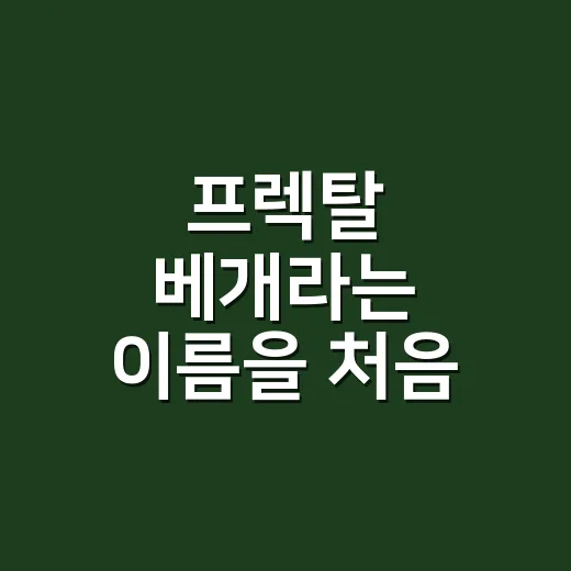 프렉탈 베개라는 이름을 처음 들었을 때, 팔릴 약속과 위험한 약속이 같이 보였다 - 요약