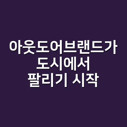 아웃도어브랜드가 도시에서 팔리기 시작했을 때 진짜 벌어진 일 - 요약