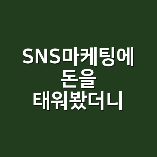 SNS마케팅에 돈을 태워봤더니, 팔리는 브랜드와 사라지는 브랜드는 달랐다 - 요약