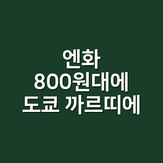 엔화 800원대에 도쿄 까르띠에 팔찌를 계산해봤더니 - 요약