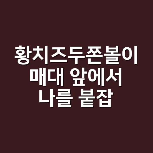 황치즈두쫀볼이 매대 앞에서 나를 붙잡은 진짜 이유 - 요약