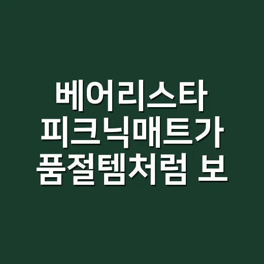 베어리스타 피크닉매트가 품절템처럼 보였던 진짜 이유 - 요약