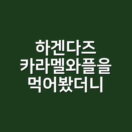 하겐다즈 카라멜와플을 먹어봤더니, 비싼 아이스크림이 약속을 지키는 방식 - 요약