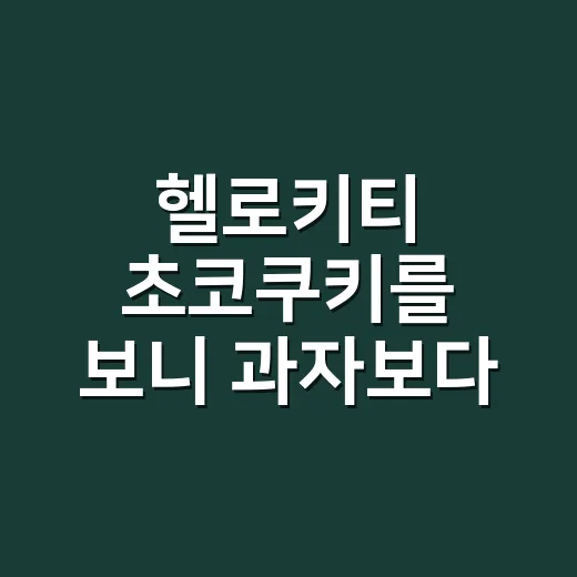 헬로키티 초코쿠키를 보니 과자보다 약속이 먼저 보였다 - 요약