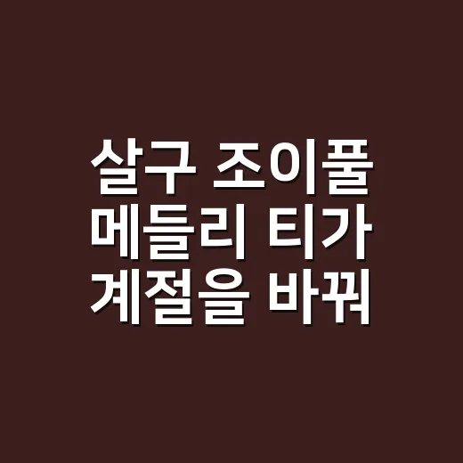 살구 조이풀 메들리 티가 계절을 바꿔 돌아온 이유 - 요약