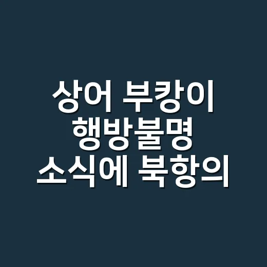 상어 부캉이 행방불명 소식에 북항의 약속이 보였다 - 요약