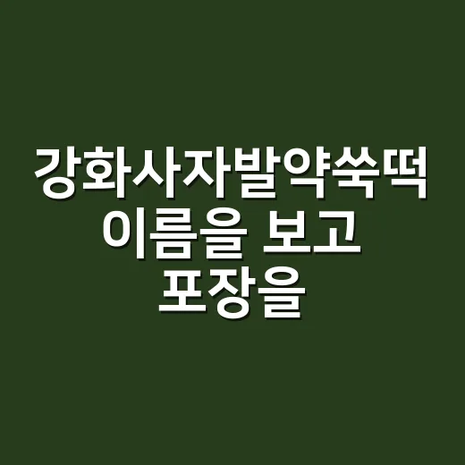 강화사자발약쑥떡 이름을 보고 포장을 다시 읽었다 - 요약