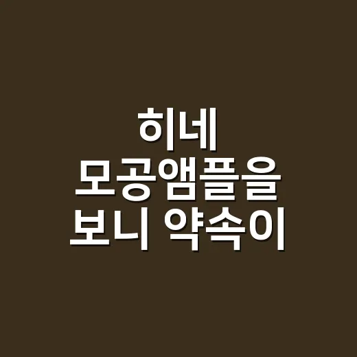 히네 모공앰플을 보니 약속이 먼저 보였다 - 요약