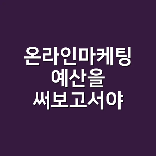 온라인마케팅 예산을 써보고서야 보인 것 - 요약