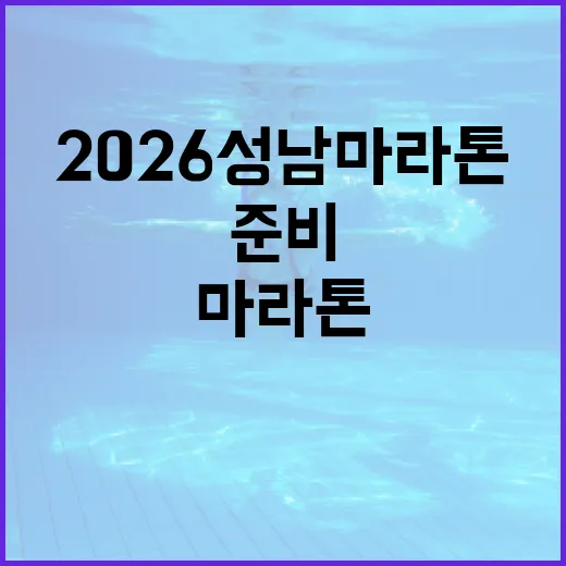 2026 성남 마라톤 준비하는 방법 - 요약