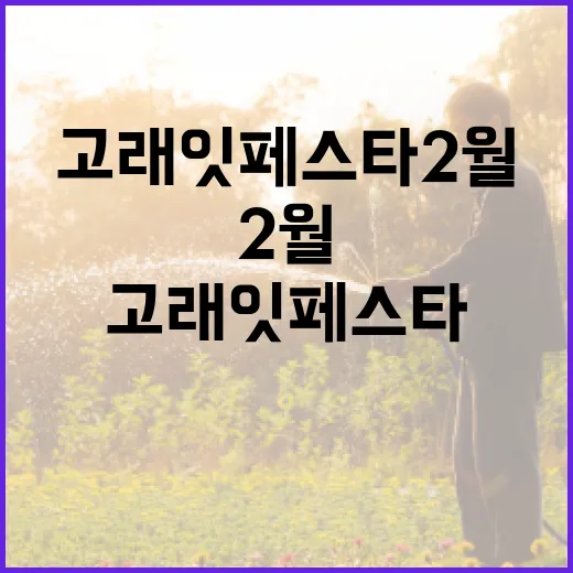 고래잇 페스타 2월을 즐기는 방법 - 요약