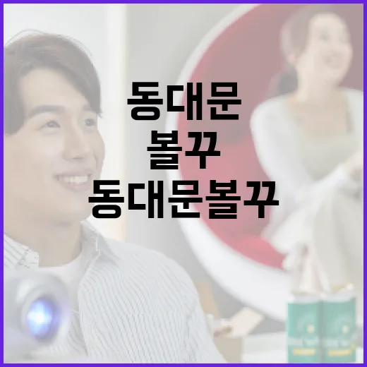 동대문 볼꾸를 즐기는 방법: 놓치지 말아야 할 포인트 - 요약