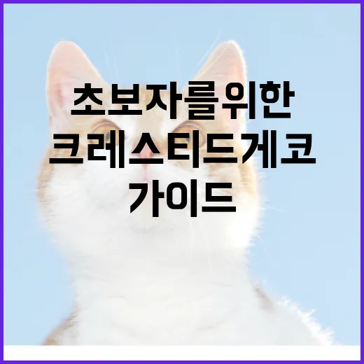 크레스티드 게코를 키우는 방법: 초보자를 위한 가이드 - 요약