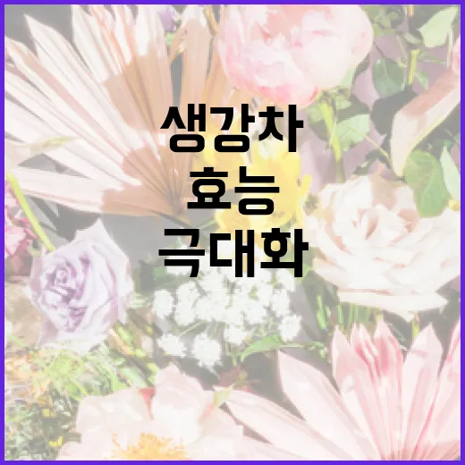 생강차의 효능을 극대화하는 방법 - 요약