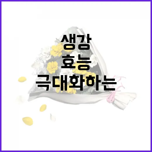 생강의 놀라운 효능을 극대화하는 방법 - 요약