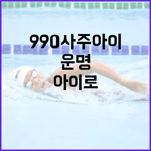 990사주아이로 나만의 운명 해석하는 방법 - 요약