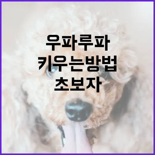 우파루파를 키우는 방법: 초보자를 위한 완벽 가이드 - 요약