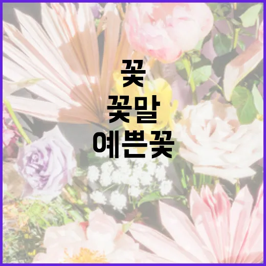 예쁜 꽃의 꽃말 알아보는 방법 - 요약