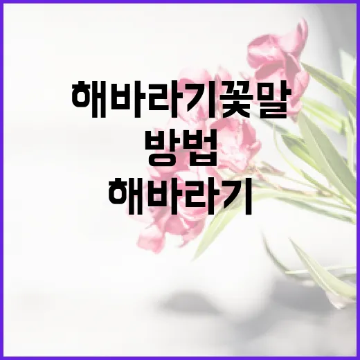 리시안셔스를 활용한 홈 인테리어 팁 - 요약