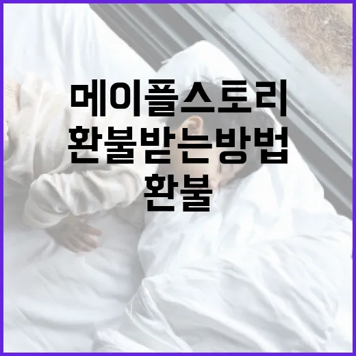 메이플스토리에서 캐릭터 환불받는 방법 - 요약