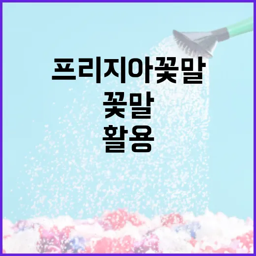 프리지아 꽃말을 이해하고 활용하는 방법 - 요약