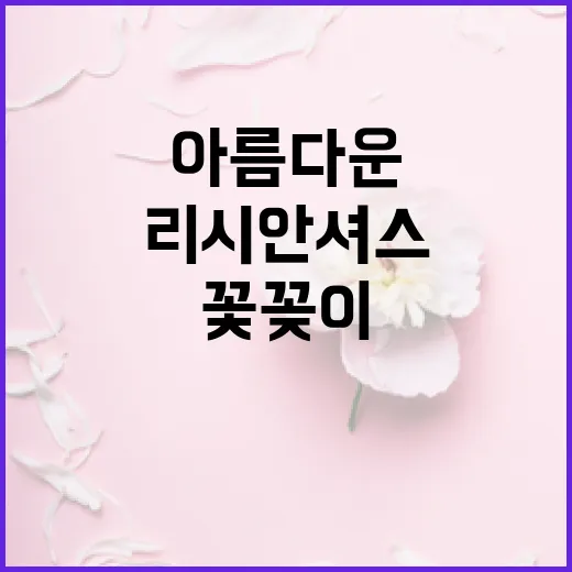 리시안셔스를 활용한 아름다운 꽃꽂이 방법 - 요약