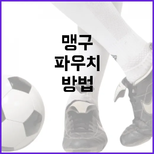 다이소 맹구 파우치로 생활을 편리하게 만드는 방법 - 요약