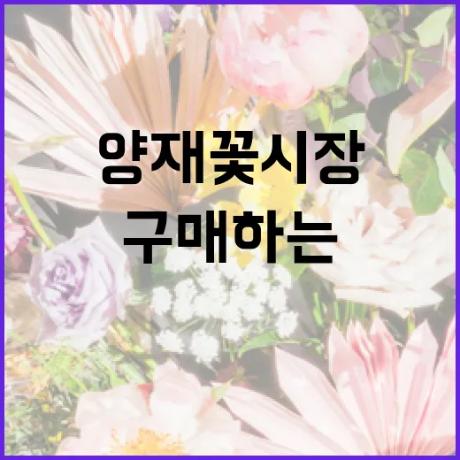 양재꽃시장에서 꽃을 구매하는 방법 - 요약