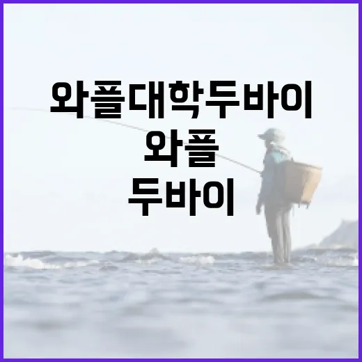 와플대학 두바이에서 와플을 즐기는 방법 - 요약